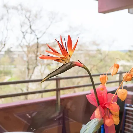 Apartment Ruheoase - B511 By Interhome *